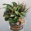 10 inch basket as shown $85
12 inch basket $95
plus delivery
Plants may vary